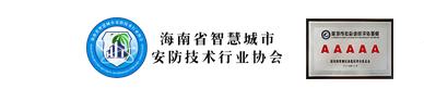 海南省智慧城市安防技术行业协会